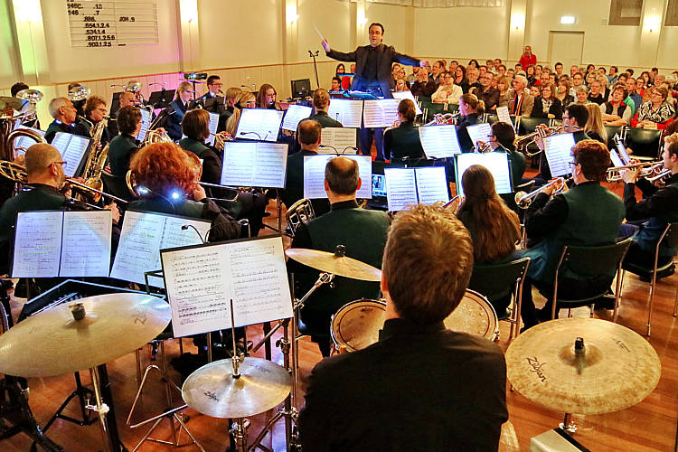 Voorjaarsconcert 2016_40